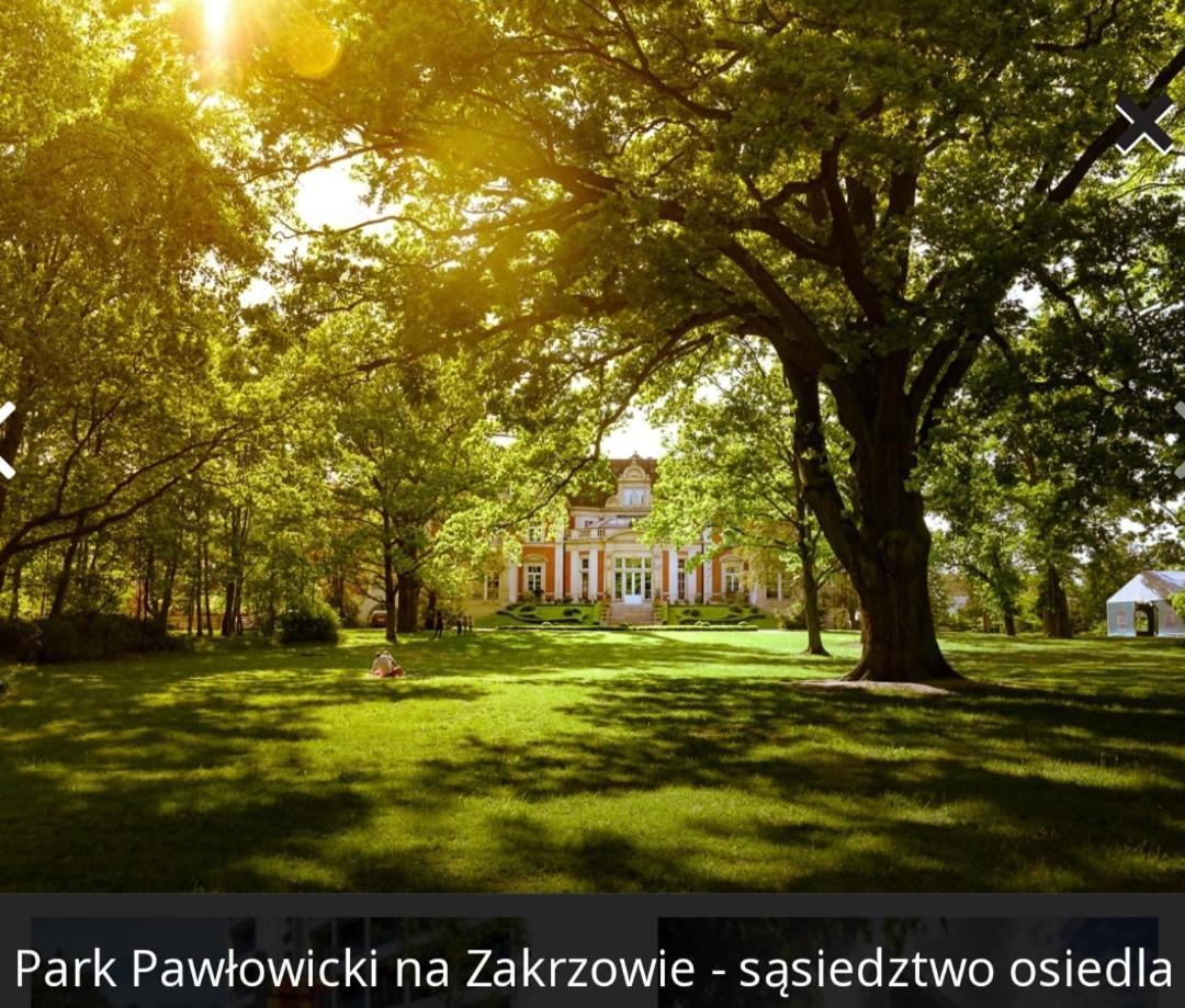 Zakatek Free Parking, Ochrona Apartment