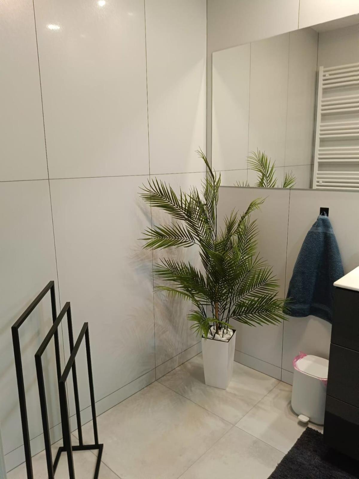 Zakatek Free Parking, Ochrona Apartment